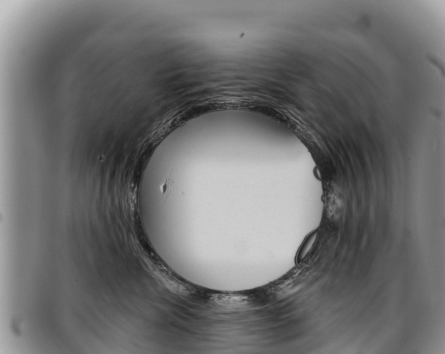 X0000097290476200802151103