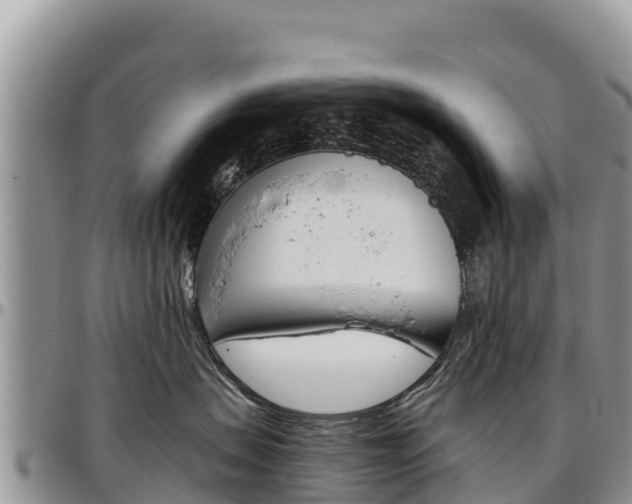 X0000097290479200802151103