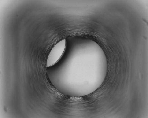 X0000097290480200802151103