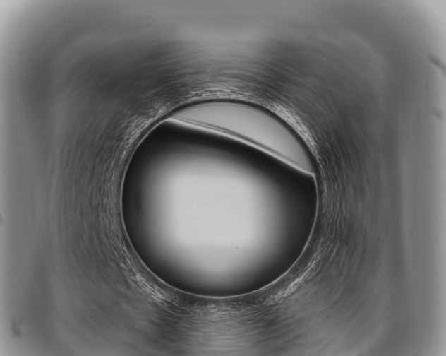 X0000097290481200802151102