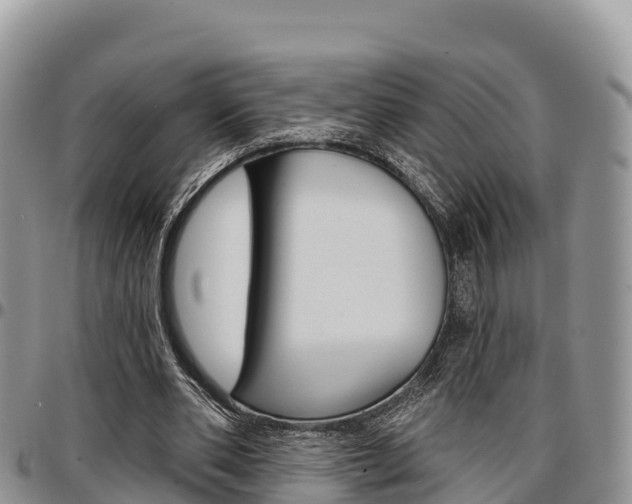 X0000097290486200802151102