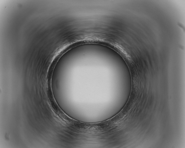 X0000097290488200802151102