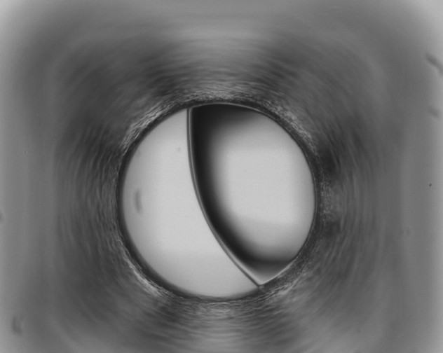 X0000097290489200802151102