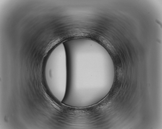 X0000097290490200802151102