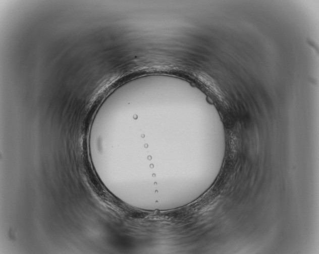 X0000097290491200802151102