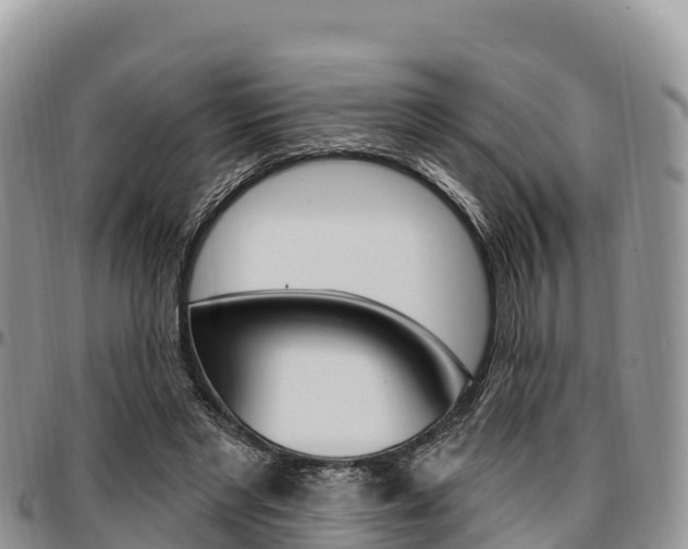 X0000097290493200802151102