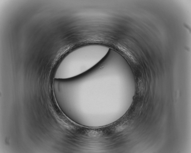 X0000097290494200802151102