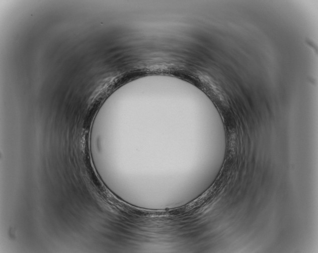 X0000097290495200802151102