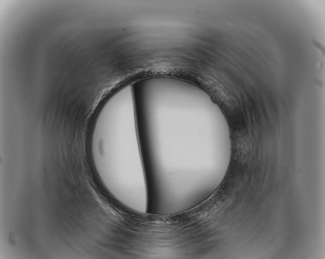 X0000097290496200802151102