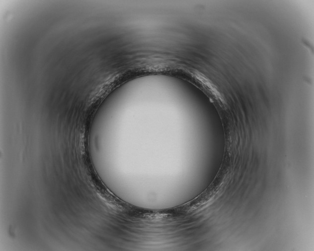 X0000097290497200802151102