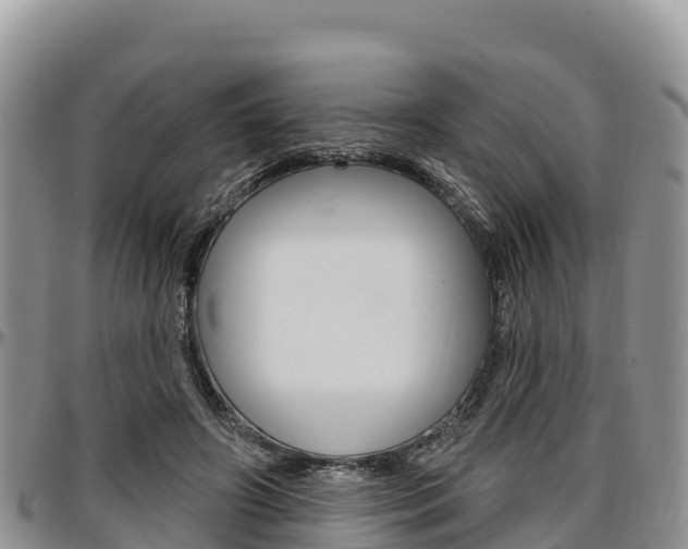 X0000097290498200802151102