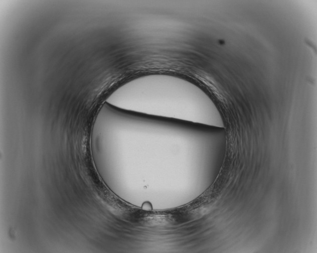 X0000097290499200802151102