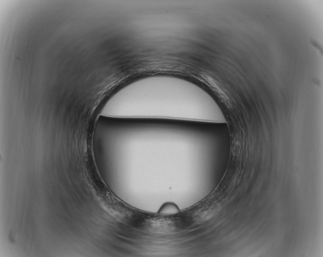 X0000097290500200802151102
