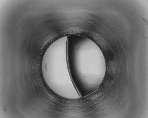 X0000097290501200802151102