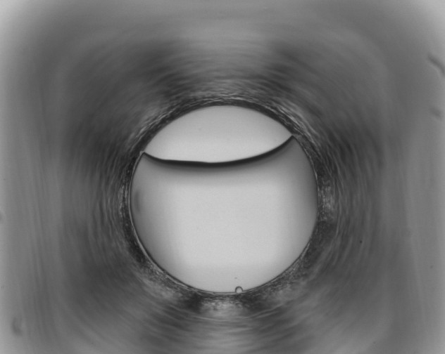 X0000097290503200802151102
