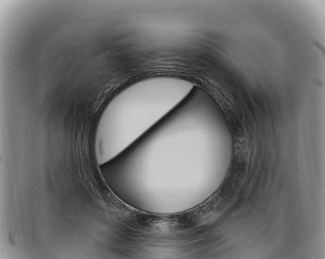 X0000097290504200802151102