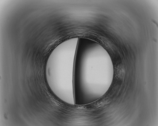 X0000097290505200802151102