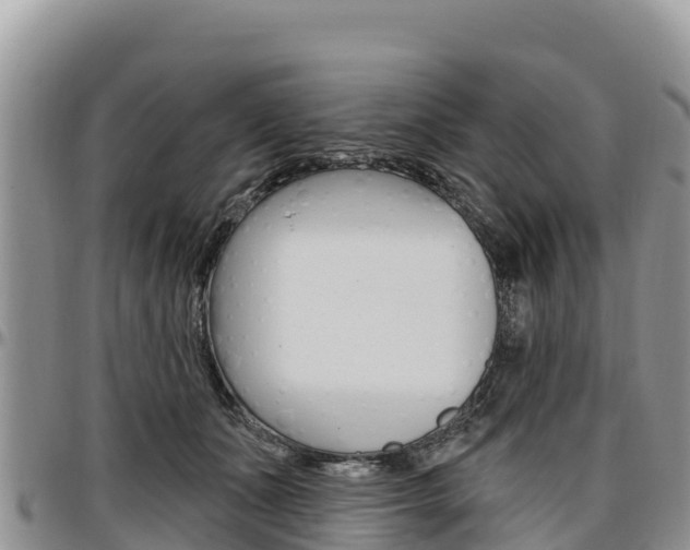 X0000097290511200802151102