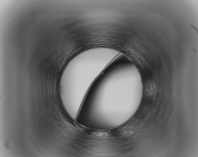 X0000097290512200802151102