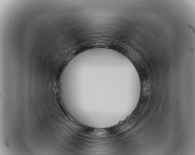 X0000097290514200802151102