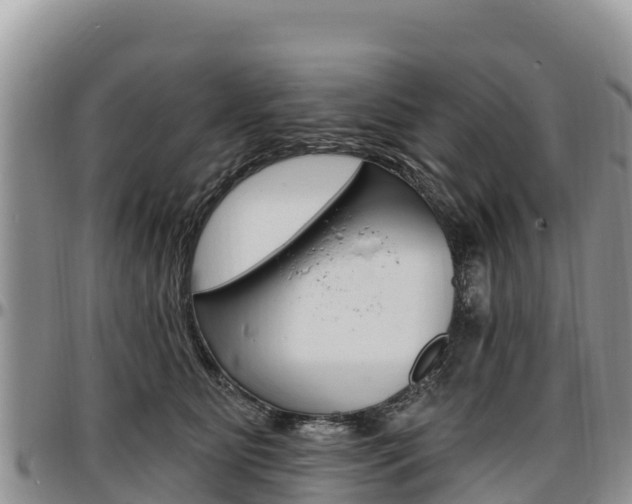 X0000097290515200802151102