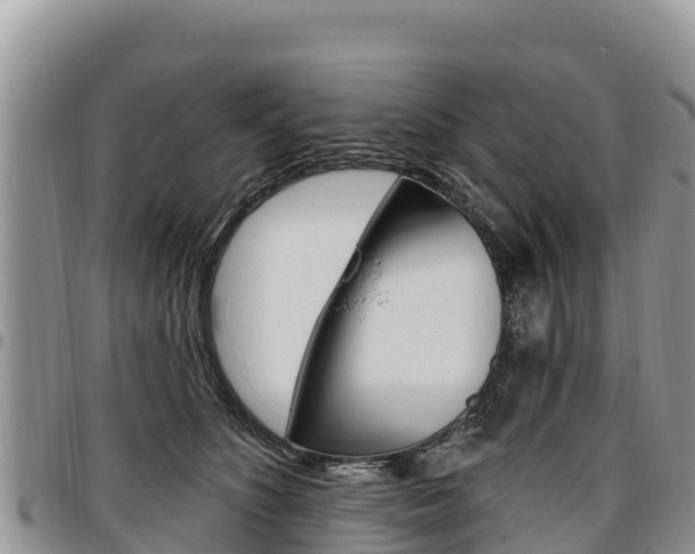 X0000097290516200802151101