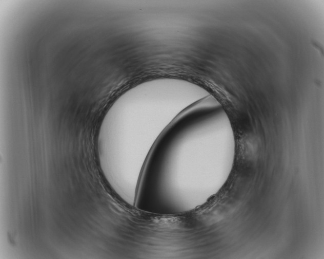 X0000097290517200802151101