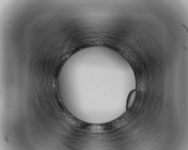 X0000097290518200802151101