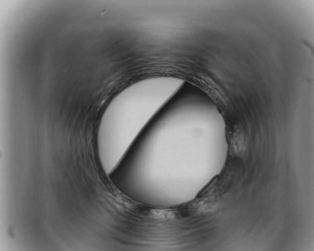 X0000097290520200802151101