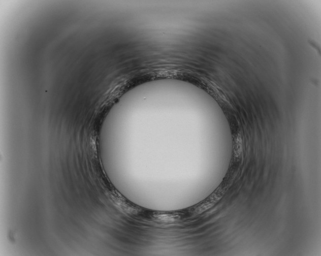 X0000097290522200802151101