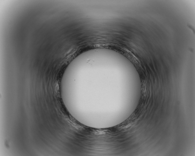 X0000097290523200802151101