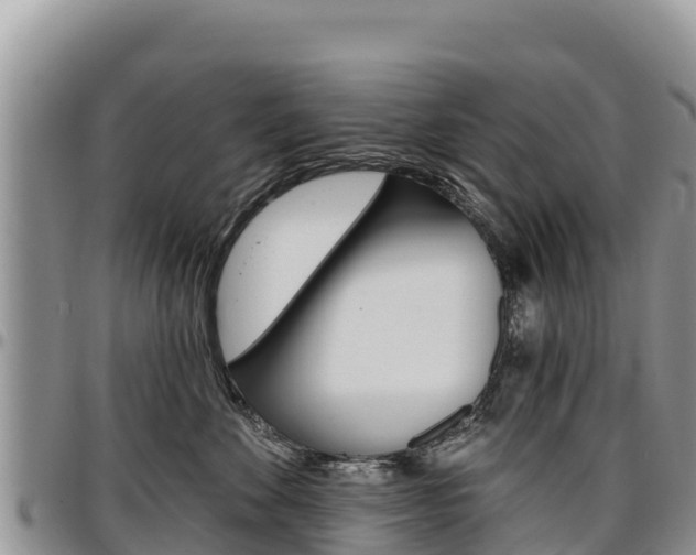 X0000097290524200802151101