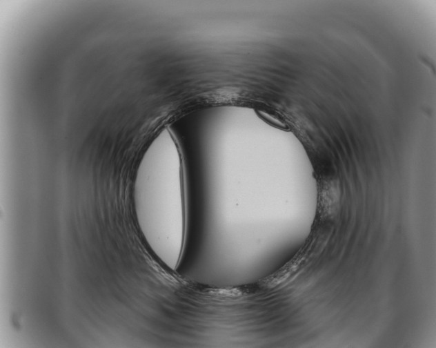 X0000097290525200802151101