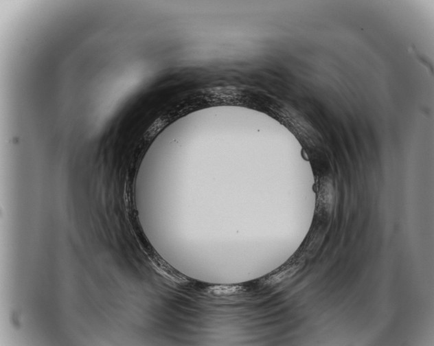 X0000097290526200802151101