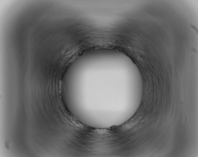X0000097290528200802151101