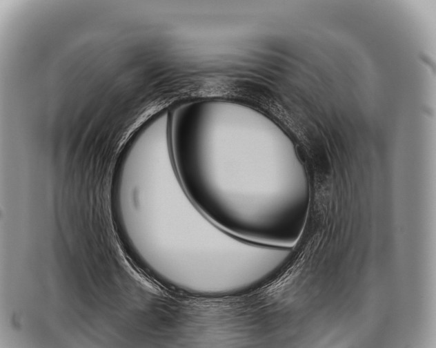 X0000097290530200802151101