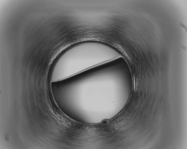 X0000097290531200802151101