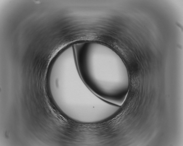 X0000097290532200802151101