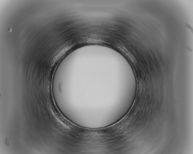 X0000097290533200802151101