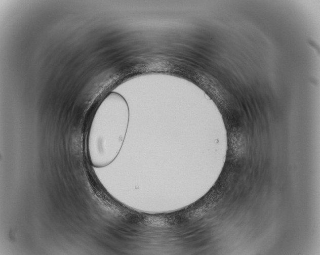 X0000097290534200802151101