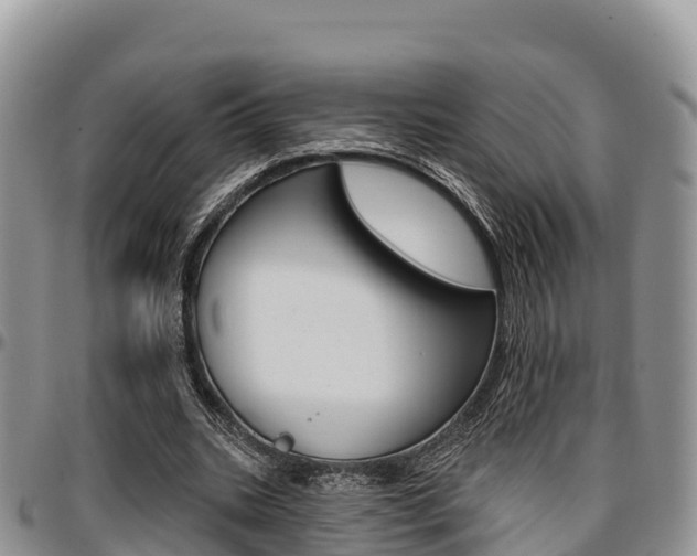 X0000097290535200802151101