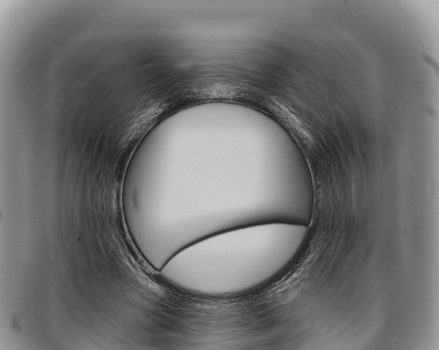 X0000097290537200802151101
