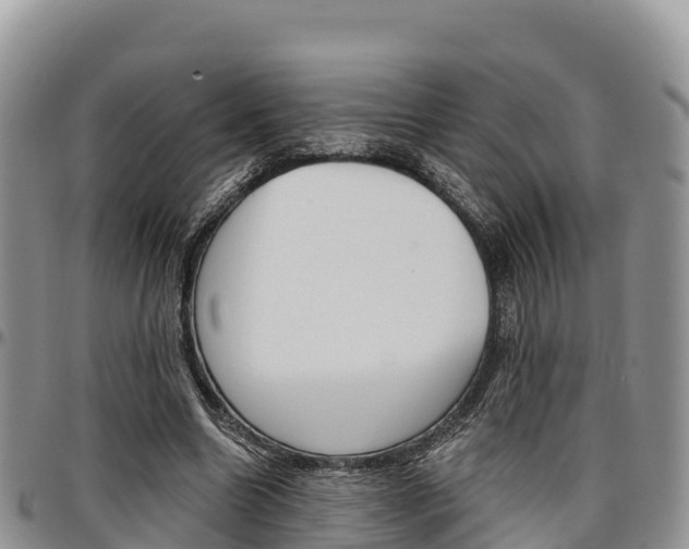 X0000097290538200802151101