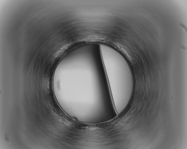 X0000097290539200802151101