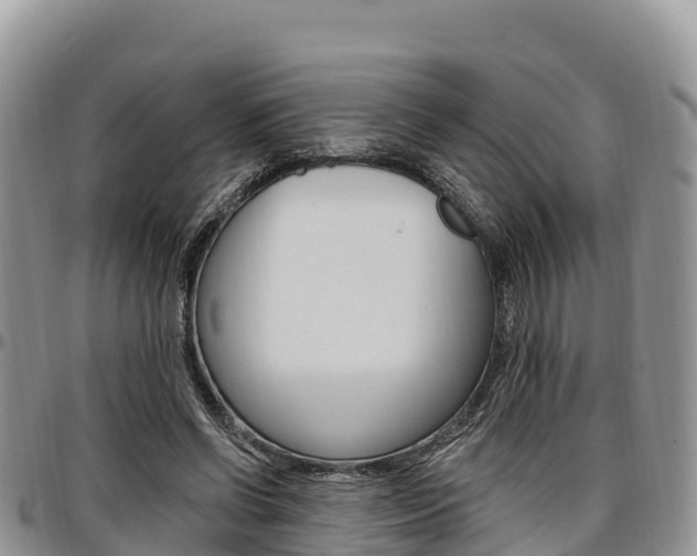 X0000097290542200802151101
