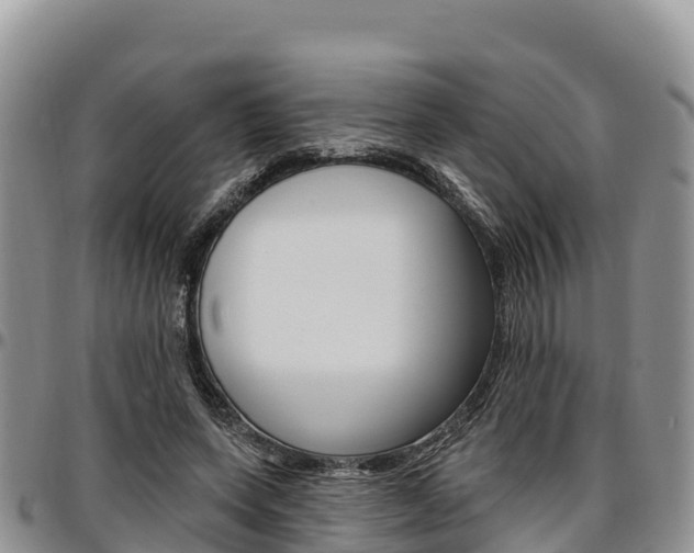 X0000097290543200802151101