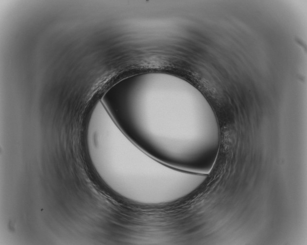 X0000097290544200802151101