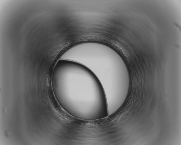 X0000097290546200802151101
