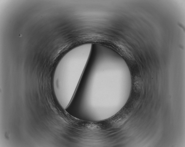 X0000097290547200802151101