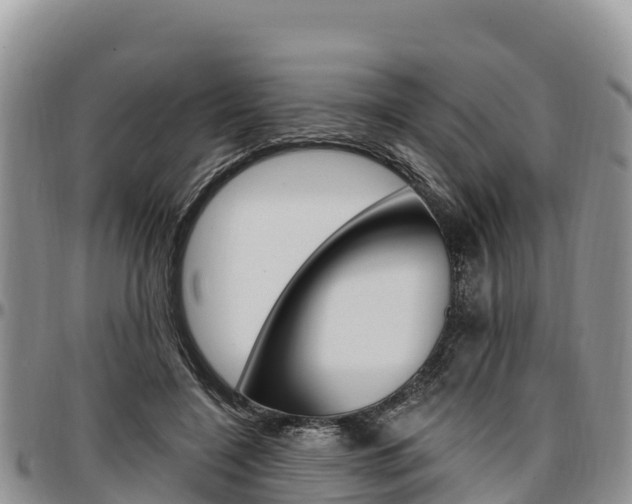 X0000097290548200802151101